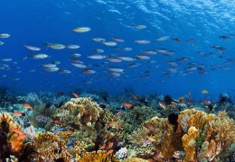 美妝品牌開(kāi)始全面“排雷”