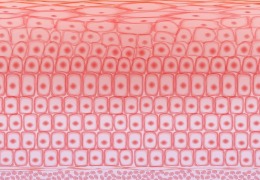 如何保護皮膚，才能使皮膚看起來(lái)健康？